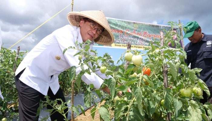 Kendalikan Inflasi, Pj Wako Hasan Masifkan ASN Bertanam Hortikultura 