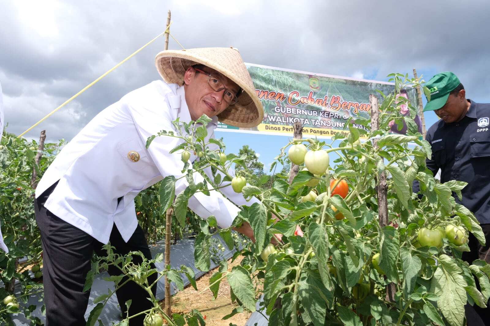 Kendalikan Inflasi, Pj Wako Hasan Masifkan ASN Bertanam Hortikultura 