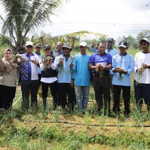 Panen Bawang Merah dan Lele, Pj Wako Apresiasi Kelompok Tani Kembangkan Pertanian  