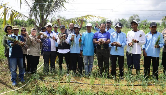 Panen Bawang Merah dan Lele, Pj Wako Apresiasi Kelompok Tani Kembangkan Pertanian  