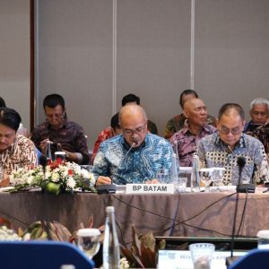 BP Batam Paparkan RKP dan RKAKL Bersama Komisi VI DPR RI