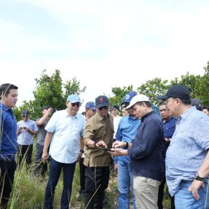 Tinjau Pembangunan Hunian Baru di Tanjung Banon, Kemenko Polhukam Optimis Rampung Sesuai Target