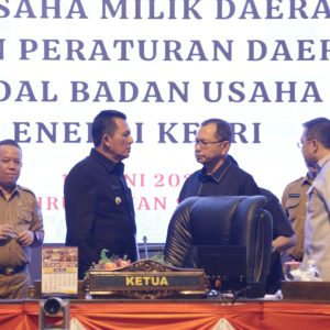 Kejar Tambahan PAD : Gubernur Ansar Usulkan Ranperda BUMD Energi Kepri