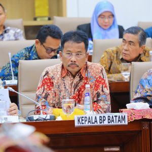 RDP bersama Komisi VI DPR RI, Muhammad Rudi Paparkan Kinerja Anggaran BP Batam