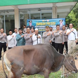 Kapolresta Tanjungpinang Serahkan Sapi Kurban Untuk Masjid dan Ponpes