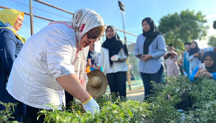 Dukung Pemberdayaan Perempuan di Batam, Marlin Agustina Dorong Pengembangan UMKM