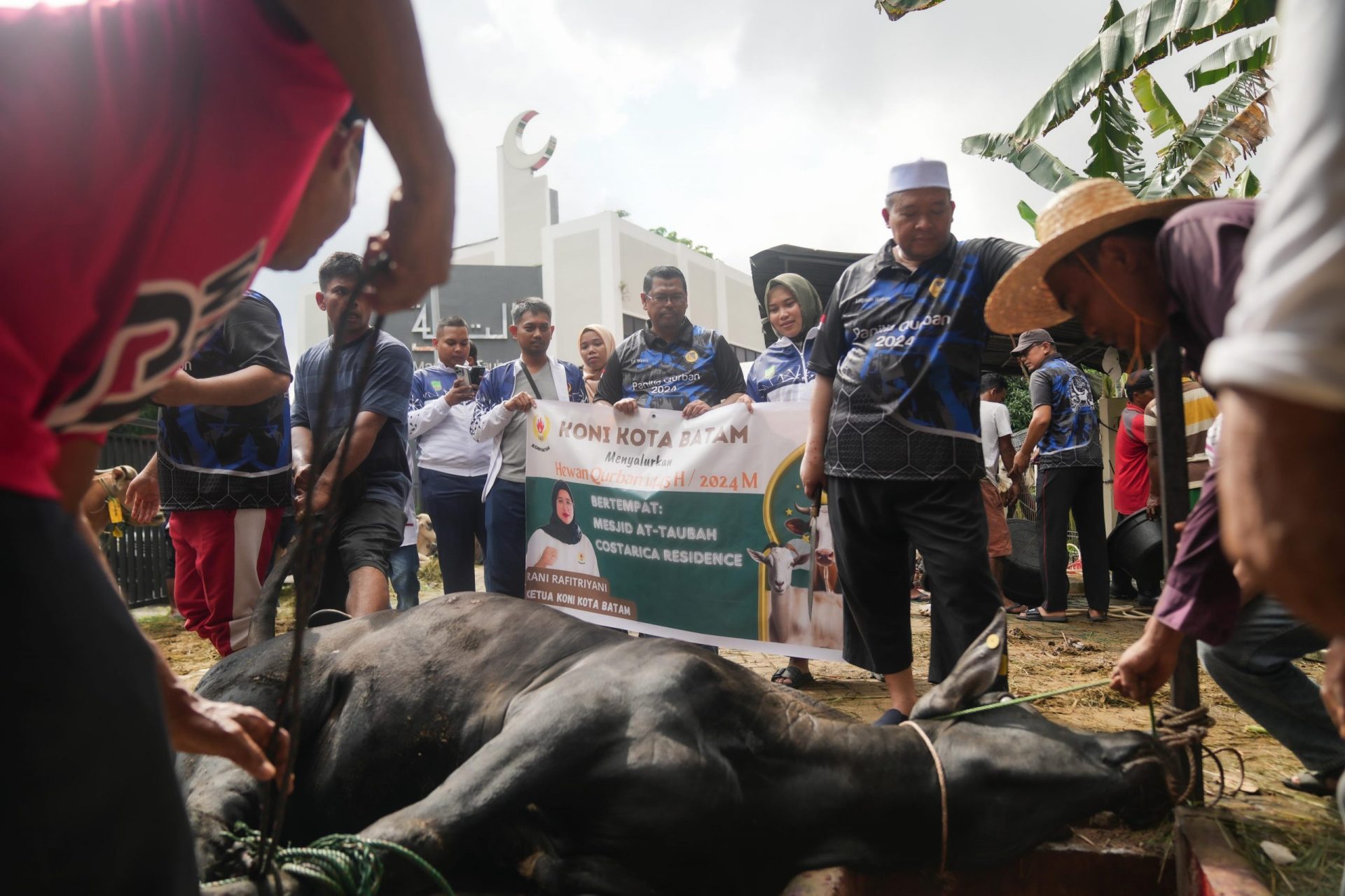 Rayakan Idul Adha, KONI Batam Sumbang 2 Ekor Sapi di Masjid At Taubah