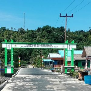 Program Kalaju Belum Diresmikan, Ini Tanggapan Dinas Perikanan Natuna