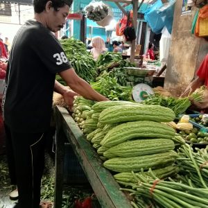 Harga Sayuran di Tanjungpinang Melonjak, Sawi Termahal Rp30 Ribu Per kg 