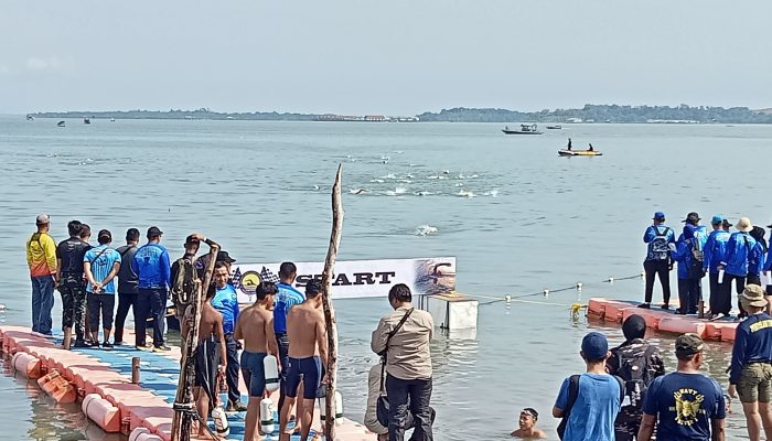 Pemprov Kepri Dukung Kepri Navy Open Swimming Competition Jadi Event Internasional 