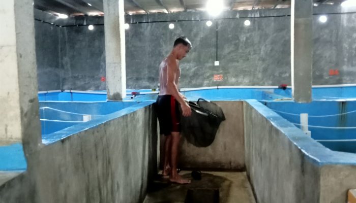 Harapan Nelayan Kandas Jadikan Desa Pengujan Bintan Kampung Budidaya Ikan 