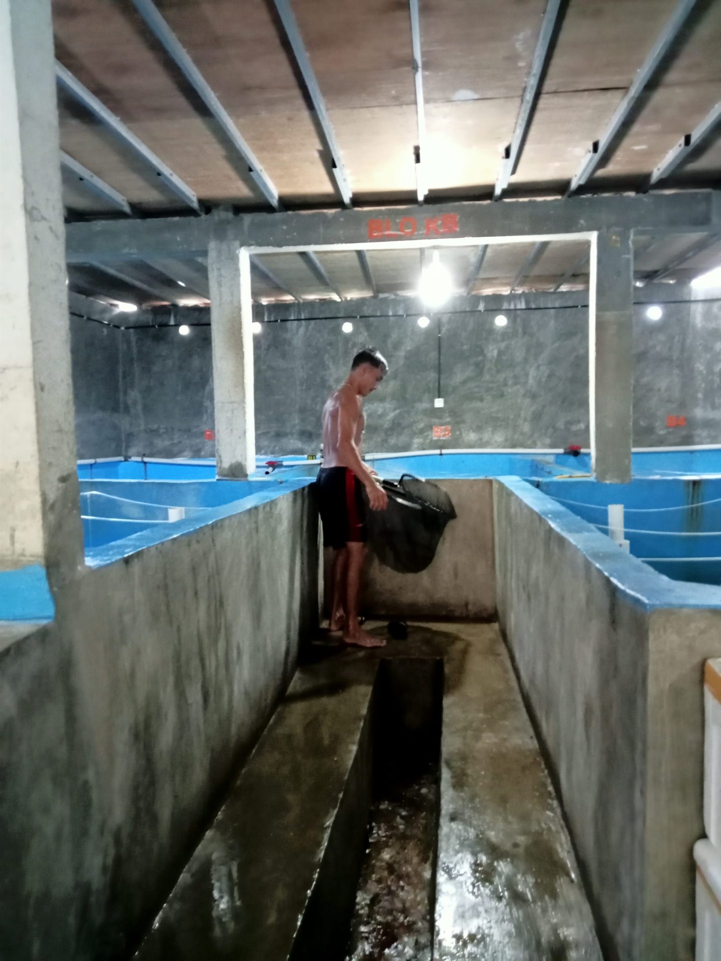 Harapan Nelayan Kandas Jadikan Desa Pengujan Bintan Kampung Budidaya Ikan 