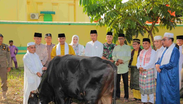 Tunaikan Sholat Idul Adha, Pj Wako Andri Serahkan Hewan Kurban di Masjid Sultan Riau Penyengat 