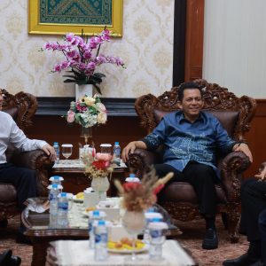 Gubernur Kepri Sambut Delegasi Hubei Tiongkok, Jajaki Kerjasama Pertanian dan Pariwisata 