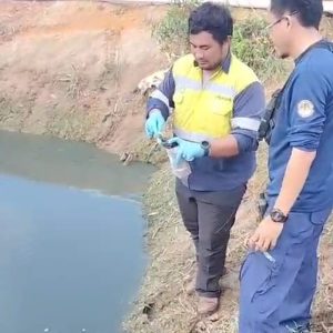 Ribuan Ekor Ikan Mati di Desa Pengujan, KLHK Ambil Sampel Air Laut Selat Bintan