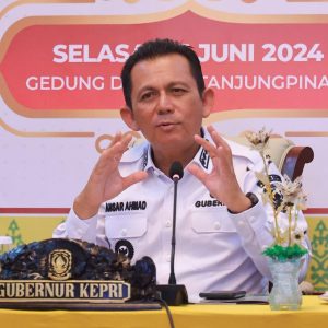 Ini Alasan Gubernur Ansar Ahmad Terapkan Short Term Visa di Kepri