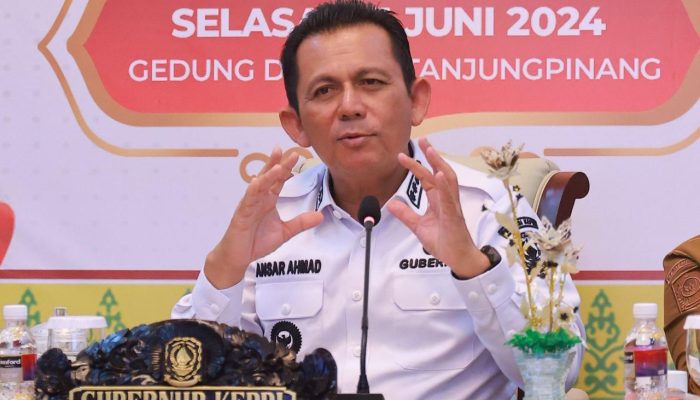 Ini Alasan Gubernur Ansar Ahmad Terapkan Short Term Visa di Kepri