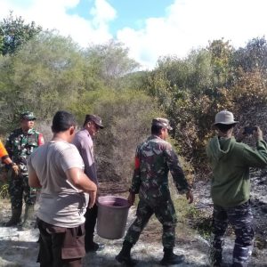 Tim Gabungan Berhasil Padamkan Kebakaran Lahan di SMAN 1 Jemaja Anambas