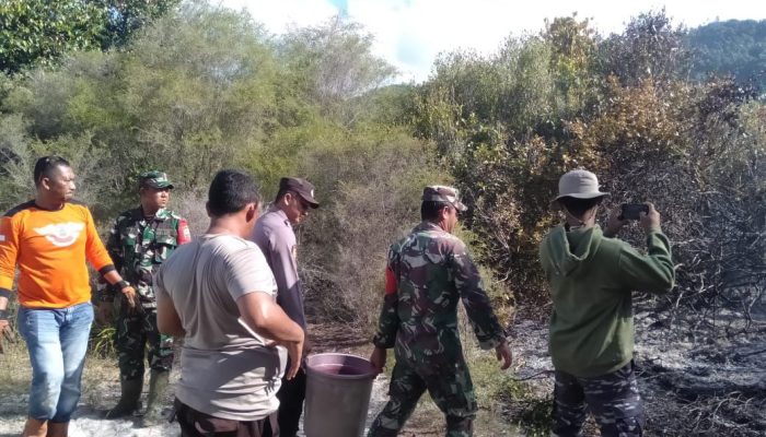 Tim Gabungan Berhasil Padamkan Kebakaran Lahan di SMAN 1 Jemaja Anambas