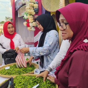 Festival Warisan Bunda Lingga, Cabai Rawit Stand Bazar Kecamatan Singkep Barat Diminati Warga  