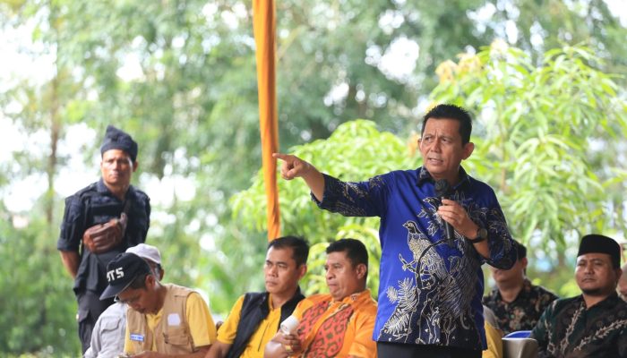 3 Tahun Memimpin, Ansar Tempatkan 71.182 Tenaga Kerja di Provinsi Kepri