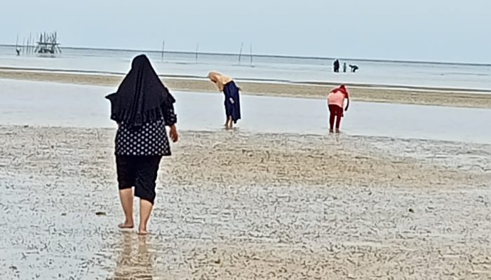 Berkarang, Tradisi Masyarakat di Pesisir Bintan Saat Air Laut Surut