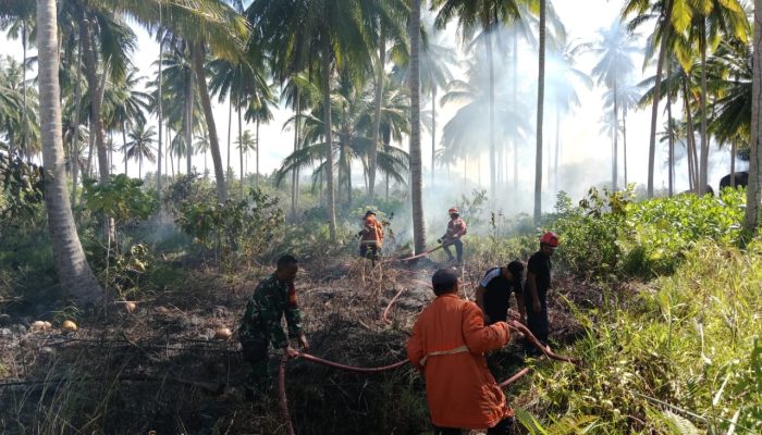 Januari Hingga Oktober 2024, Damkar Natuna Tangani 118 Kasus Karhutla 