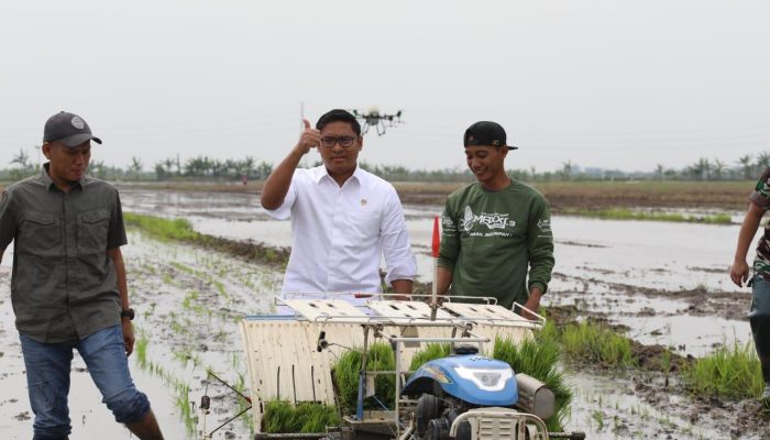 Perkuat Ketahanan Pangan,Pemerintah Cetak Tiga Juta Hektare Sawah Baru