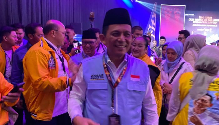 Tingkatkan Investasi di Kepri, Ansar Gunakan Teori Gula dan Semut 