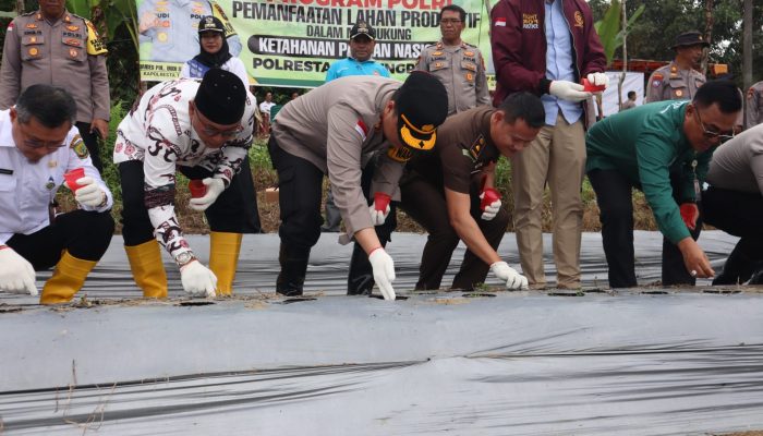 Polresta Tanjungpinang Tanam Ribuan Benih Jagung di Sei Ladi Tanjungpinang 