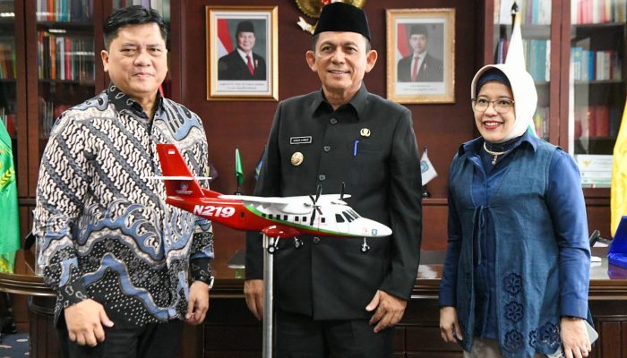 Pemprov Kepri Bersama Bappenas Rencana Luncurkan Pesawat N219 untuk Wilayah Kepri