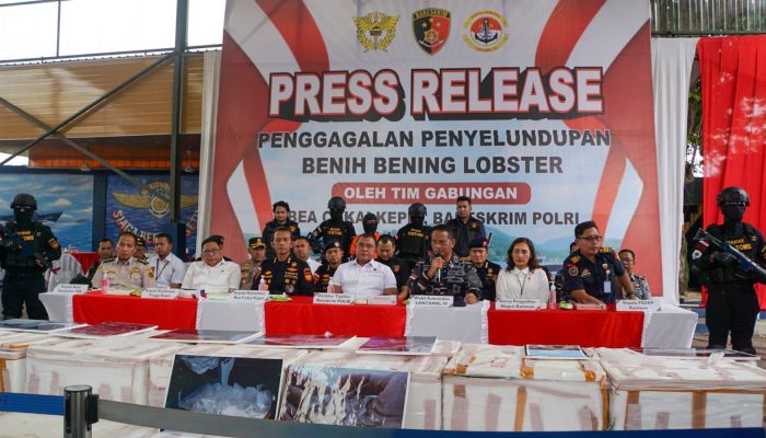 Satgas Gabungan Gagalkan Penyelundupan Benih Lobster Sebanyak 151.000 Ekor