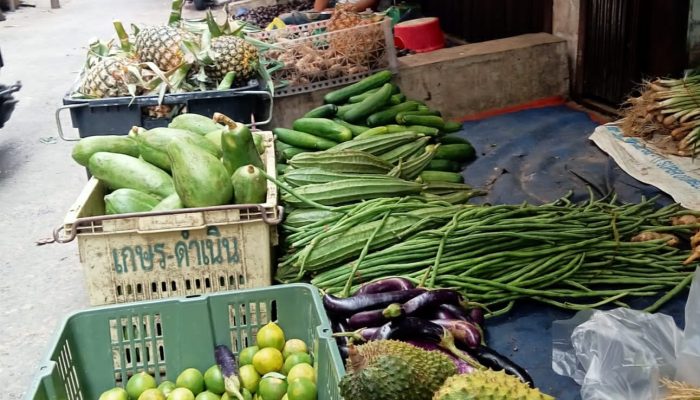 Harga Cabe Normal, Sayuran Melonjak di Tanjungpinang 