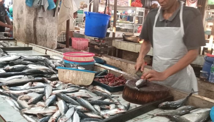 Musim Angin Utara, Harga Ikan Segar di Pasar Bincen Tanjungpinang Naik