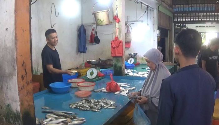 Musim Angin Utara dan Hujan Deras, Harga Ikan di Tanjungpinang Melonjak 