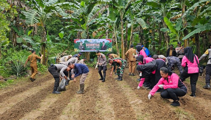 Dukung Ketahanan Pangan, Polres Anambas Tanam Jagung Serentak 1 Juta Hektar
