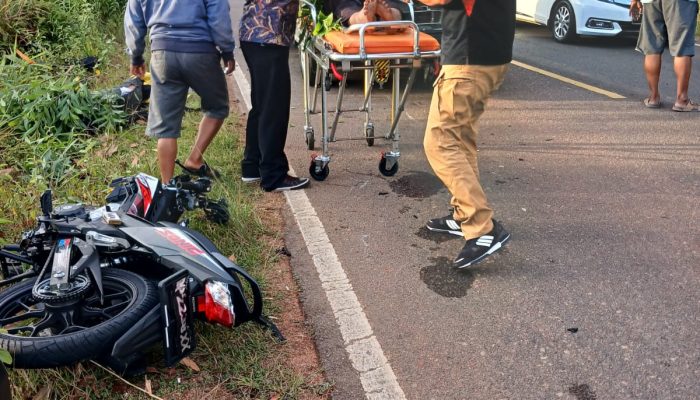 Kecelakaan Maut di Sei Carang Tanjungpinang, Pengendara Ojol Tewas di Tempat