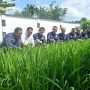 Bertanam Padi, PWI Kepri Dukung Program Ketahanan Pangan