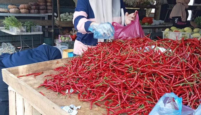 Harga Cabe dan Sayur di Tanjungpinang Sudah Turun