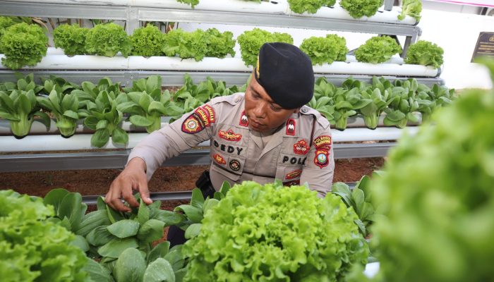 Dukung Ketahanan Pangan, Kapolresta Tanjungpinang Beserta Jajaran Launching P2L
