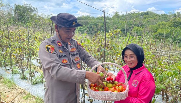 Polsek Tanjungpinang Kota Manfaatkan Lahan Kosong Jadi Pekarangan Pangan Lestari 