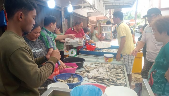 Ikan Dingkis Melimpah di Tanjungpinang Setelah Perayaan Imlek 2025