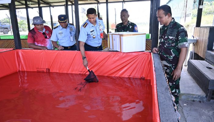 Danlanud RSA Natuna Tebar 10 Ribu Benih Ikan dan Lobster di Kolam Budidaya