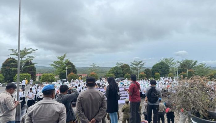 Ratusan Nakes Gelar Aksi Unjuk Rasa Di Kantor Bupati Natuna