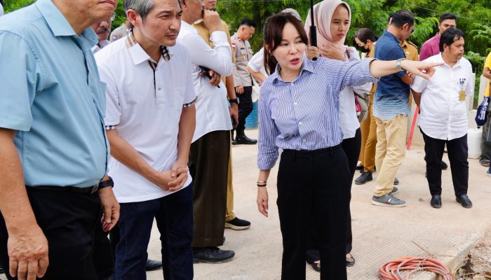 Waka BP Batam Li Claudia Sidak Lokasi Penimbunan Sungai Permata Baloi