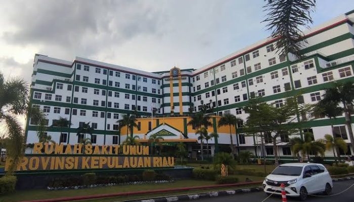 Gara Gara Ditabrak Pemabuk, Wanita Hamil Dirawat di RSUD RAT