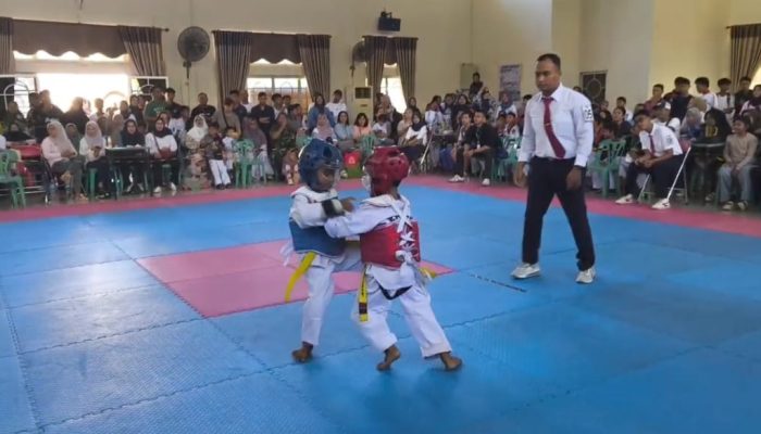 140 Pelajar Se-Pulau Bintan Ikuti Kejuaraan Taekwondo Imoogi