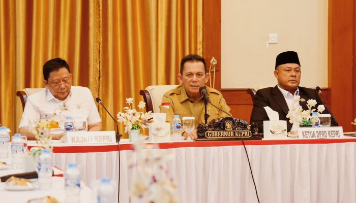 Kepri Strategis Peredaran Barang Ilegal, Gubernur Ansar Minta Dukungan Pengawasan Diperketat 
