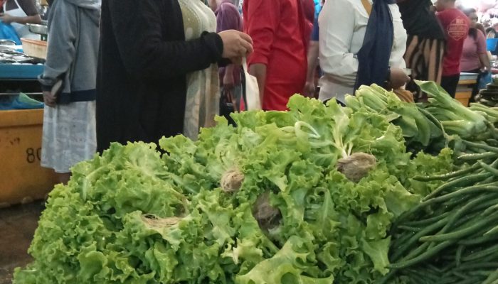 Harga Selada Tembus Rp100 Ribu Per Kg, Timun Rp6 Ribu Per Kg di Tanjungpinang
