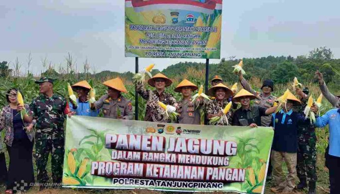 Sekda Tanjungpinang Apresiasi Panen Jagung Kolaborasi Polsek Timur dan Kelompok Tani Maju Jaya 